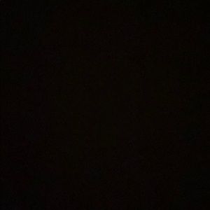 Meet your Posher, Daisy